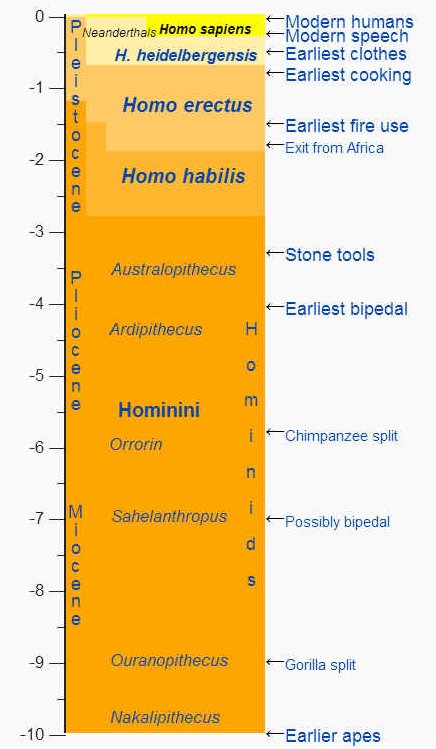 Inforgraphic charting development of life on earth